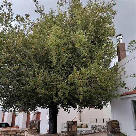 Laurel Lk In Rhodes Vakantiehuis