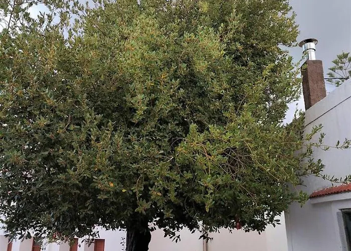 Laurel Lk In Rhodes Nyaraló